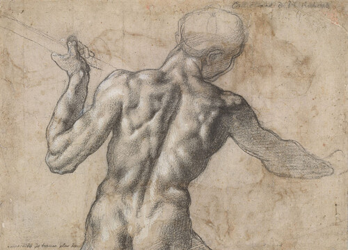 Mužský akt  /  Michelangelo Buonarroti